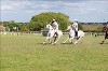 UKPA  NC Sat_1276